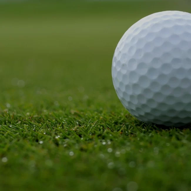 Nova icària Esport & Fitness - Golf