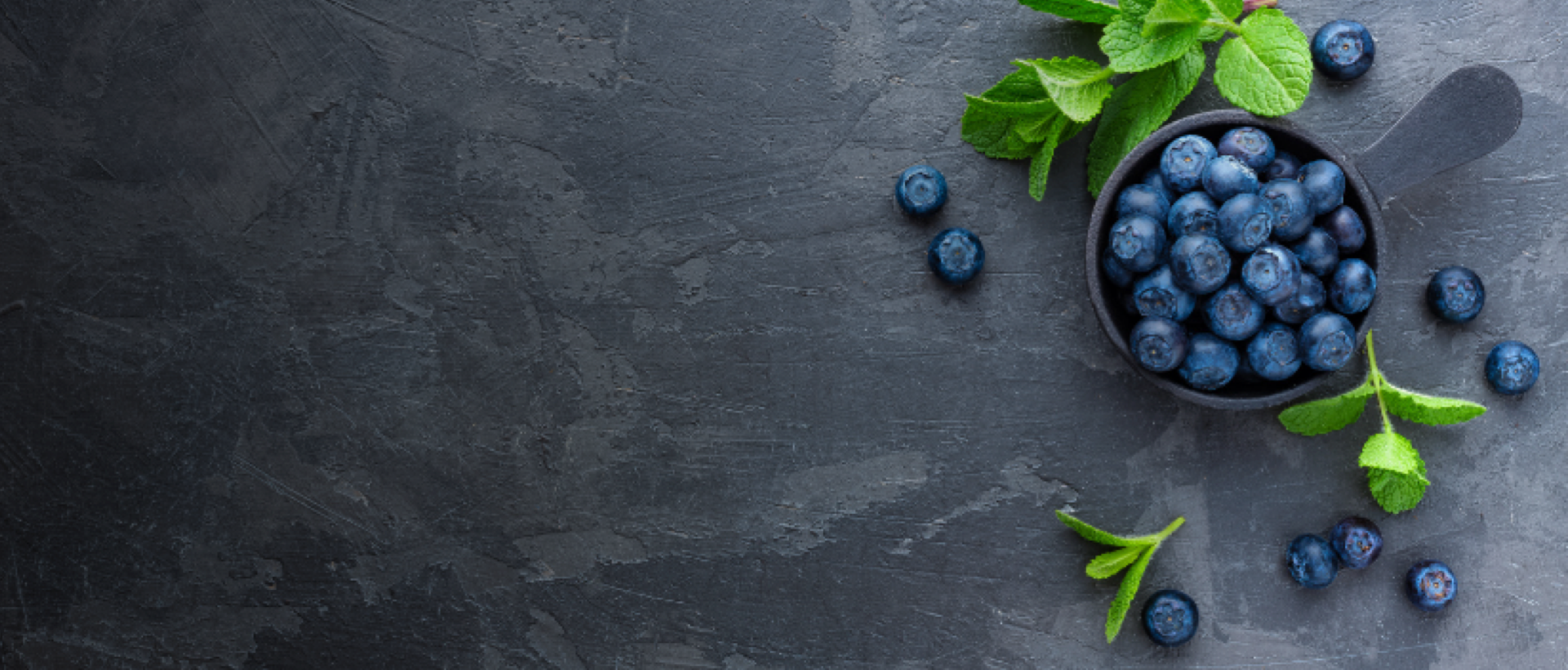 Nova Icària Esport & Fit - Servei de Nutrició